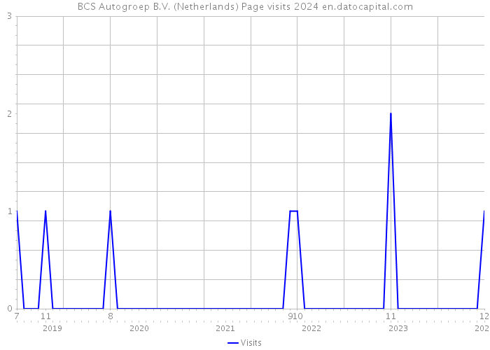 BCS Autogroep B.V. (Netherlands) Page visits 2024 