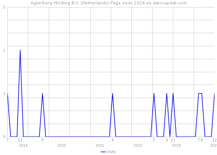 Agterberg Holding B.V. (Netherlands) Page visits 2024 
