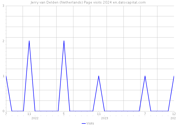 Jerry van Delden (Netherlands) Page visits 2024 