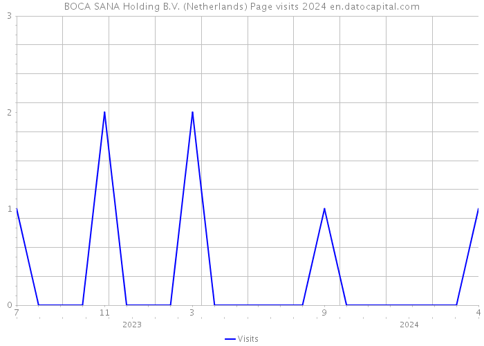 BOCA SANA Holding B.V. (Netherlands) Page visits 2024 