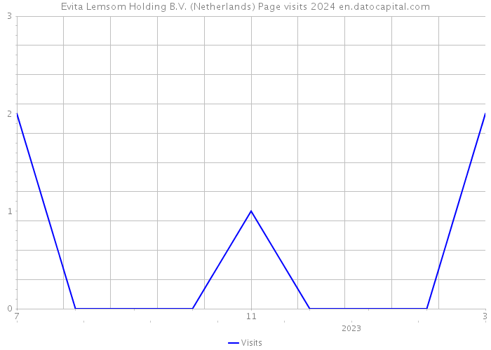 Evita Lemsom Holding B.V. (Netherlands) Page visits 2024 