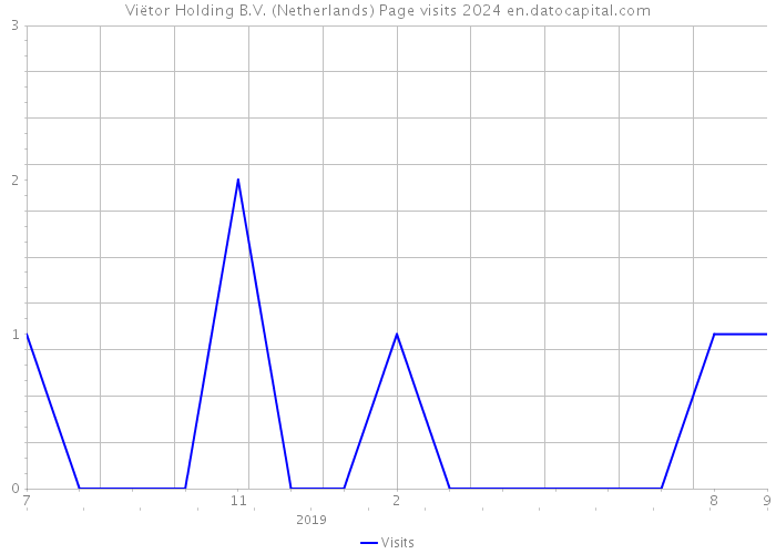 Viëtor Holding B.V. (Netherlands) Page visits 2024 