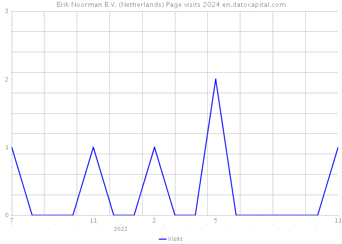Erik Noorman B.V. (Netherlands) Page visits 2024 