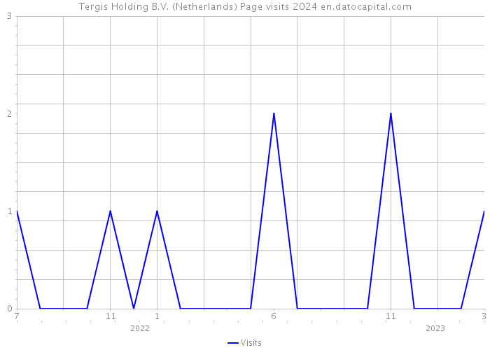 Tergis Holding B.V. (Netherlands) Page visits 2024 