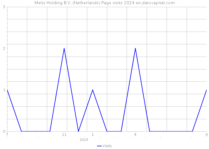 Metis Holding B.V. (Netherlands) Page visits 2024 