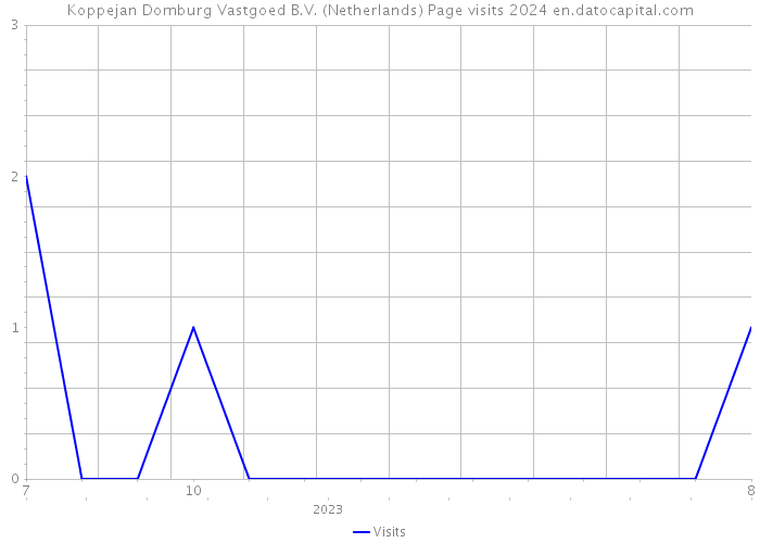 Koppejan Domburg Vastgoed B.V. (Netherlands) Page visits 2024 