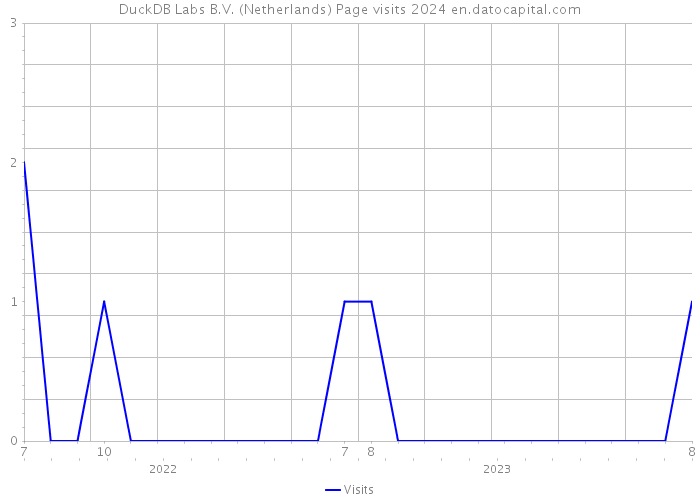 DuckDB Labs B.V. (Netherlands) Page visits 2024 