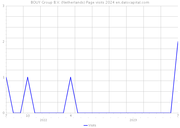 BOUY Group B.V. (Netherlands) Page visits 2024 