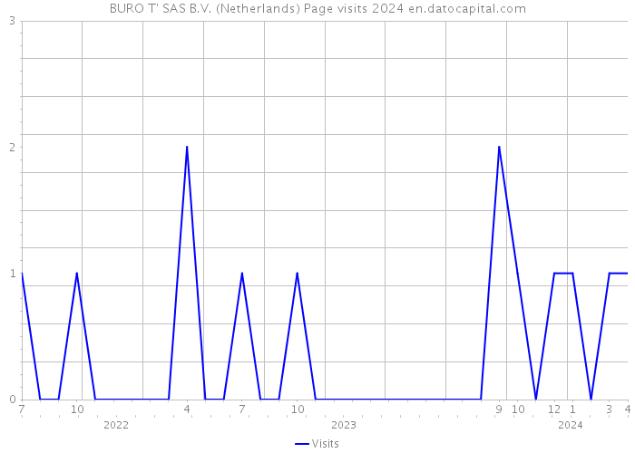 BURO T' SAS B.V. (Netherlands) Page visits 2024 
