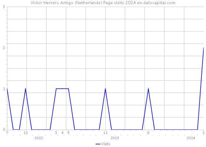 Victor Herrero Amigo (Netherlands) Page visits 2024 