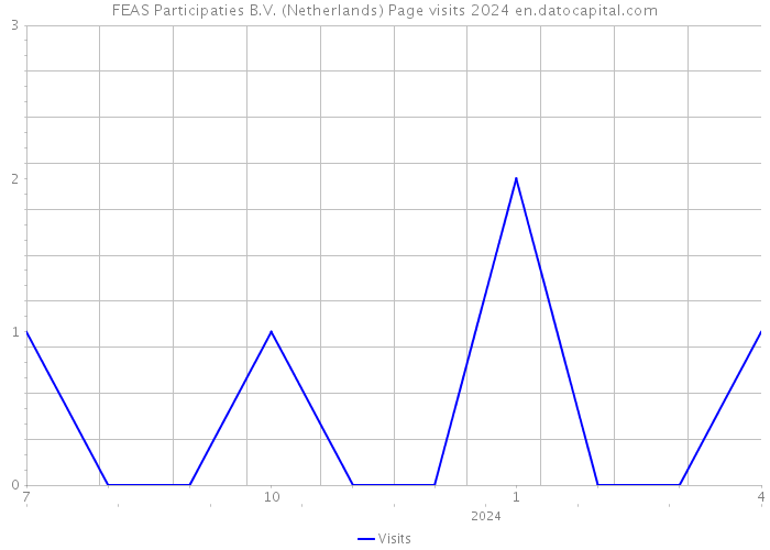FEAS Participaties B.V. (Netherlands) Page visits 2024 