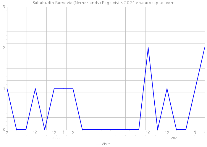 Sabahudin Ramovic (Netherlands) Page visits 2024 