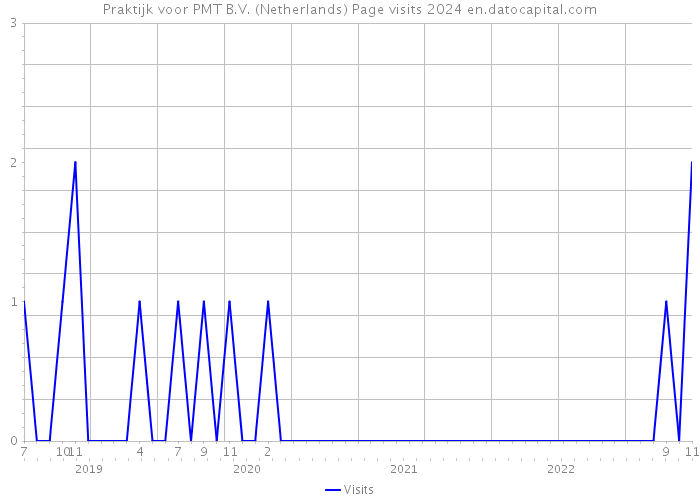 Praktijk voor PMT B.V. (Netherlands) Page visits 2024 