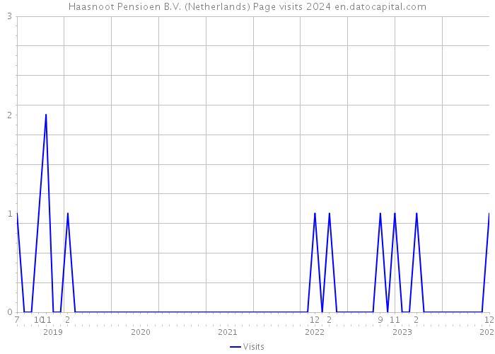 Haasnoot Pensioen B.V. (Netherlands) Page visits 2024 