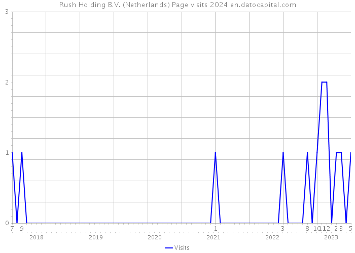 Rush Holding B.V. (Netherlands) Page visits 2024 