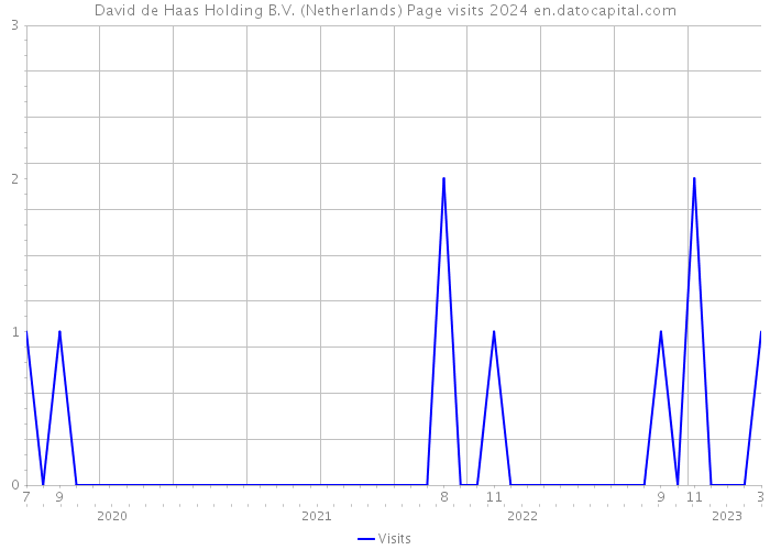David de Haas Holding B.V. (Netherlands) Page visits 2024 