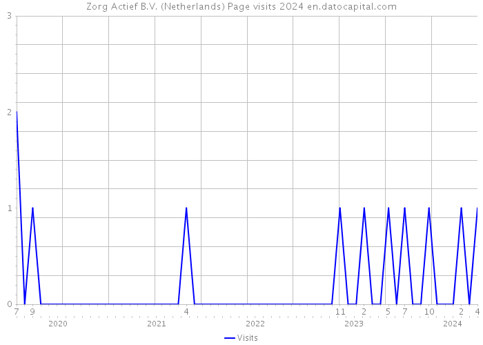 Zorg Actief B.V. (Netherlands) Page visits 2024 