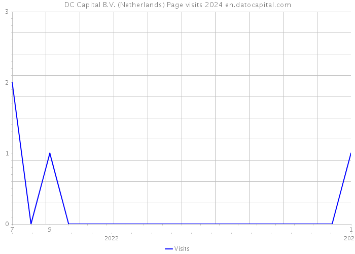 DC Capital B.V. (Netherlands) Page visits 2024 