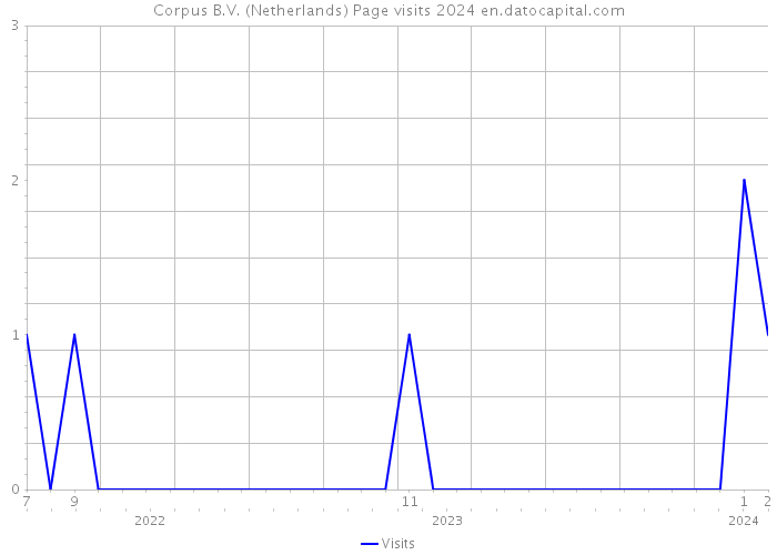 Corpus B.V. (Netherlands) Page visits 2024 