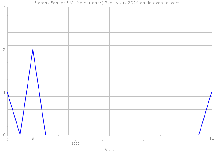 Bierens Beheer B.V. (Netherlands) Page visits 2024 