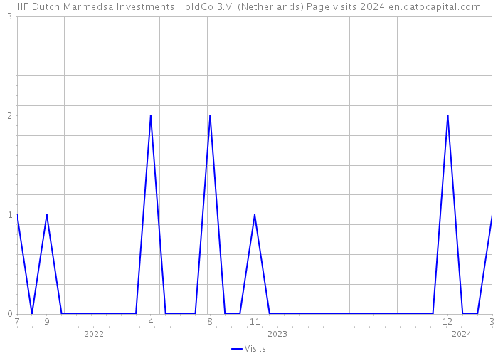 IIF Dutch Marmedsa Investments HoldCo B.V. (Netherlands) Page visits 2024 