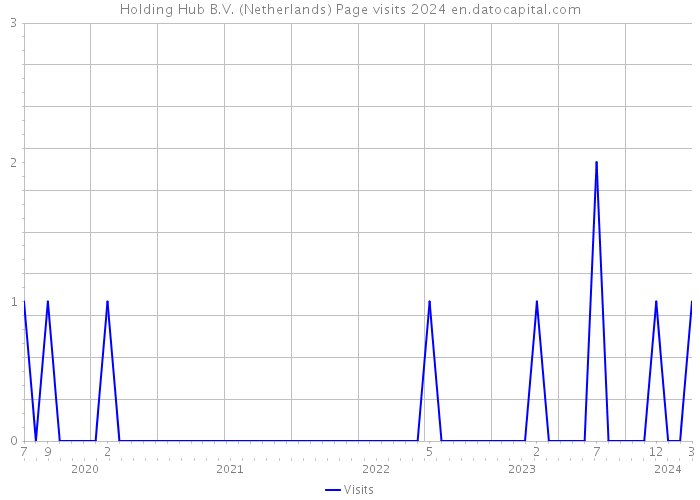 Holding Hub B.V. (Netherlands) Page visits 2024 