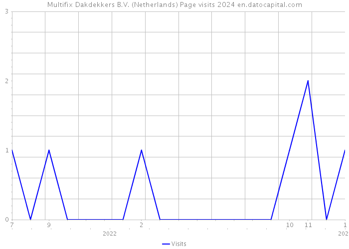 Multifix Dakdekkers B.V. (Netherlands) Page visits 2024 