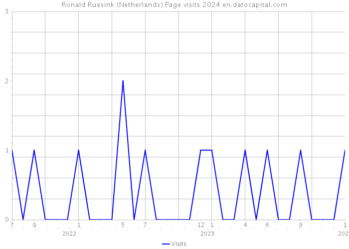 Ronald Ruesink (Netherlands) Page visits 2024 
