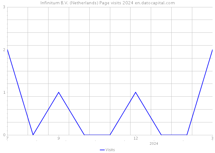 Infinitum B.V. (Netherlands) Page visits 2024 
