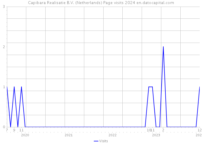 Capibara Realisatie B.V. (Netherlands) Page visits 2024 
