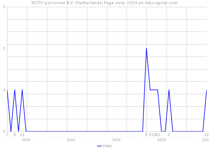 ROTS-personeel B.V. (Netherlands) Page visits 2024 