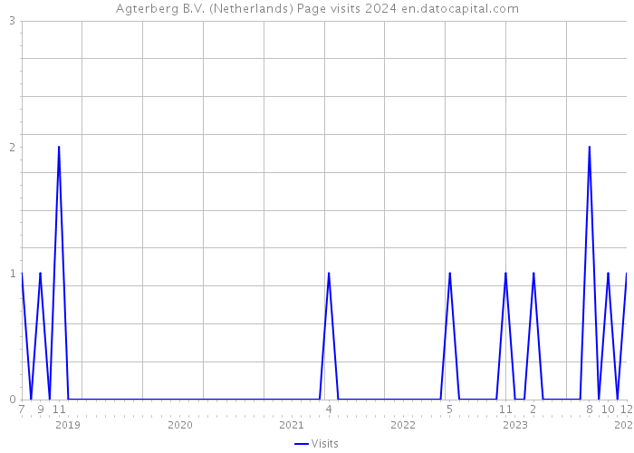Agterberg B.V. (Netherlands) Page visits 2024 