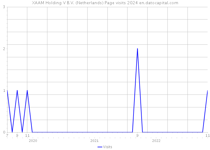 XAAM Holding V B.V. (Netherlands) Page visits 2024 