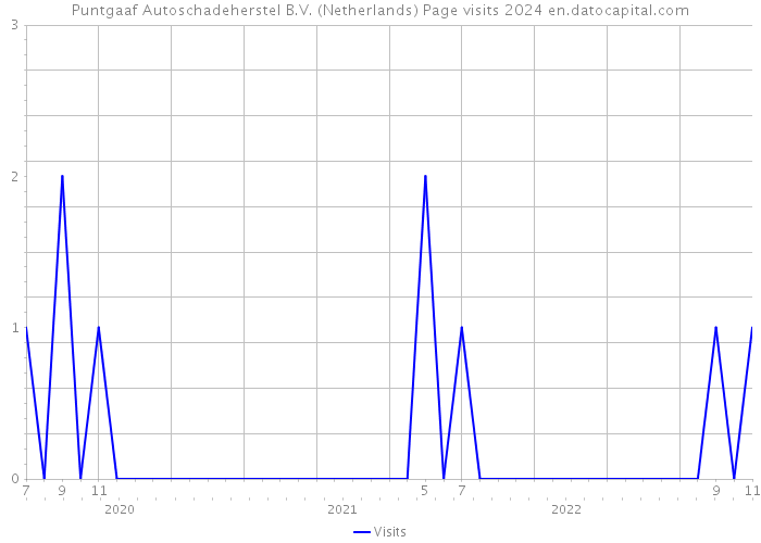 Puntgaaf Autoschadeherstel B.V. (Netherlands) Page visits 2024 