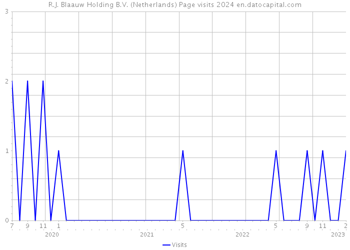 R.J. Blaauw Holding B.V. (Netherlands) Page visits 2024 