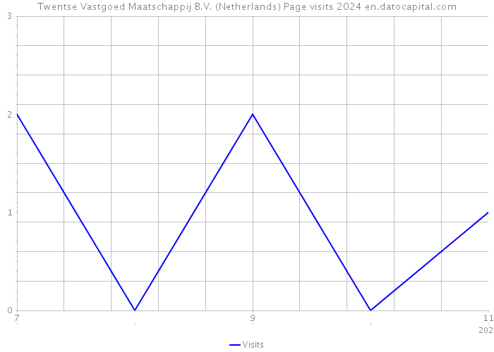 Twentse Vastgoed Maatschappij B.V. (Netherlands) Page visits 2024 