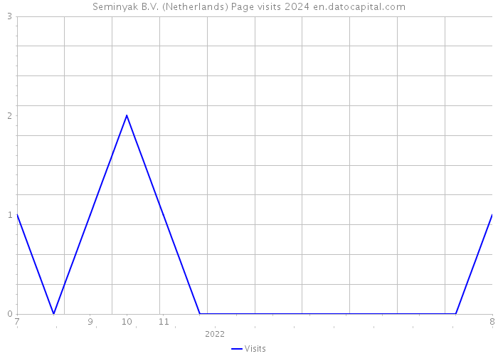 Seminyak B.V. (Netherlands) Page visits 2024 