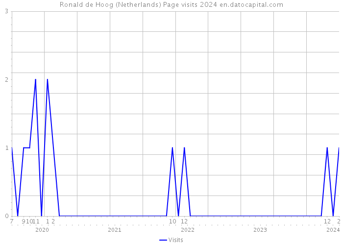 Ronald de Hoog (Netherlands) Page visits 2024 