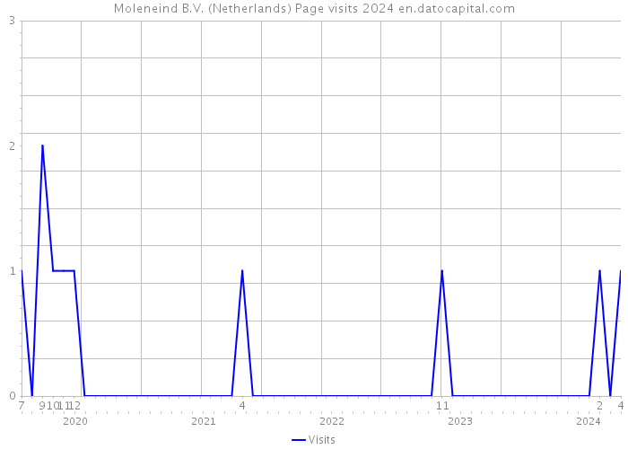 Moleneind B.V. (Netherlands) Page visits 2024 