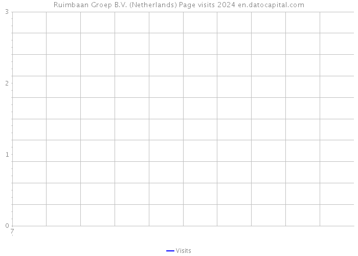 Ruimbaan Groep B.V. (Netherlands) Page visits 2024 