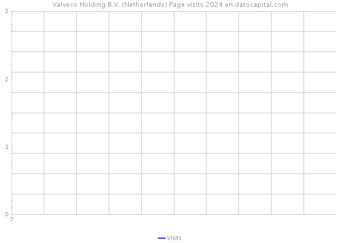 Valveco Holding B.V. (Netherlands) Page visits 2024 
