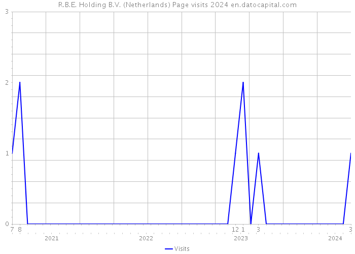 R.B.E. Holding B.V. (Netherlands) Page visits 2024 
