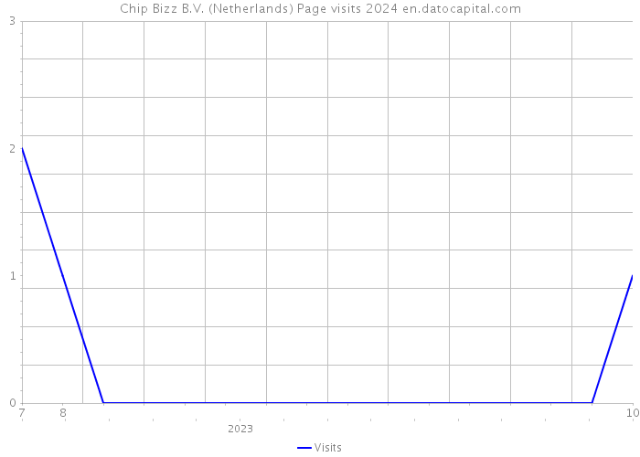 Chip Bizz B.V. (Netherlands) Page visits 2024 