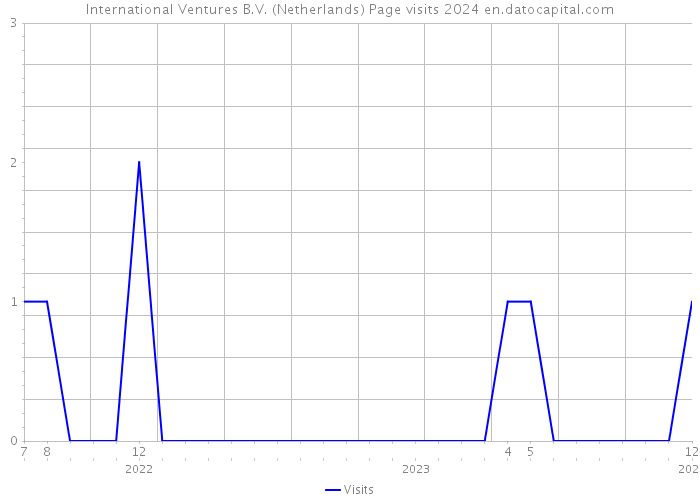 International Ventures B.V. (Netherlands) Page visits 2024 