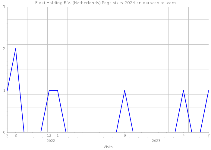 Floki Holding B.V. (Netherlands) Page visits 2024 