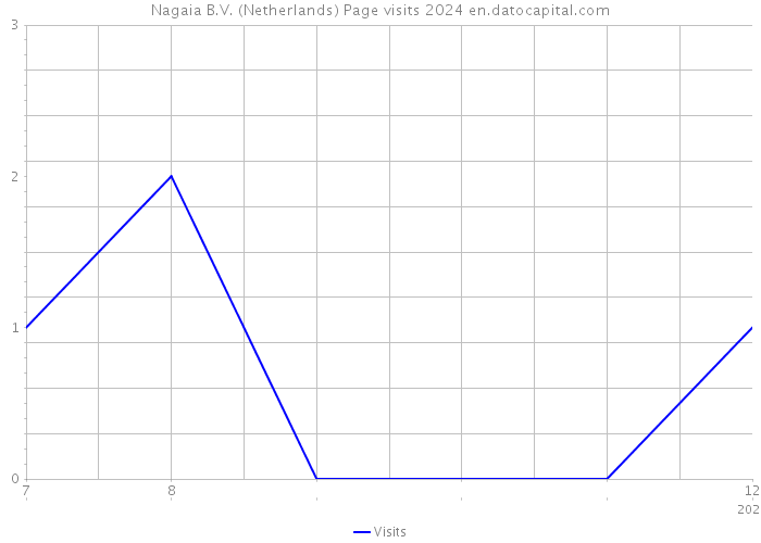 Nagaia B.V. (Netherlands) Page visits 2024 