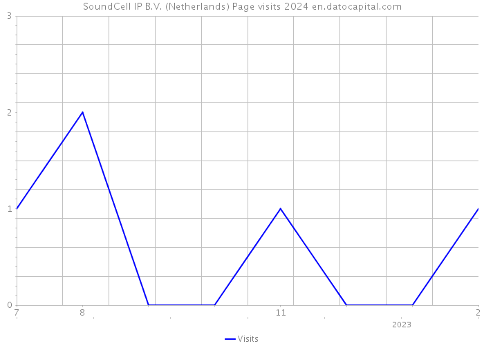 SoundCell IP B.V. (Netherlands) Page visits 2024 