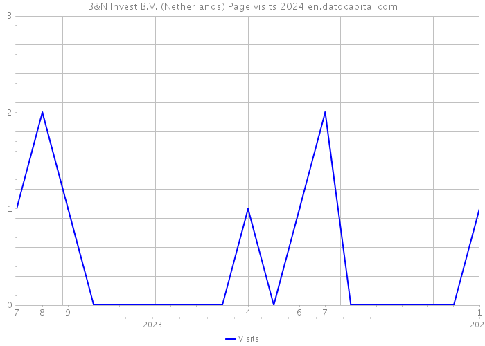 B&N Invest B.V. (Netherlands) Page visits 2024 