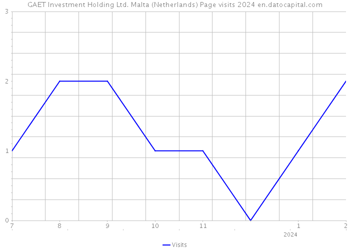 GAET Investment Holding Ltd. Malta (Netherlands) Page visits 2024 
