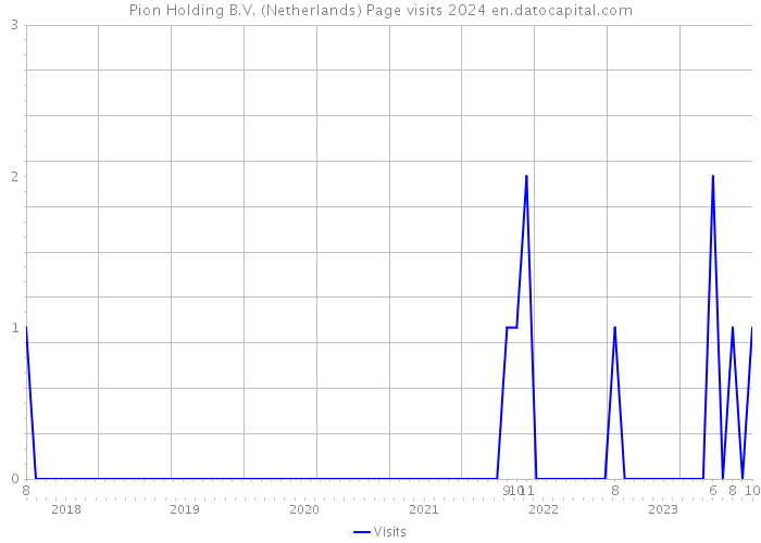 Pion Holding B.V. (Netherlands) Page visits 2024 